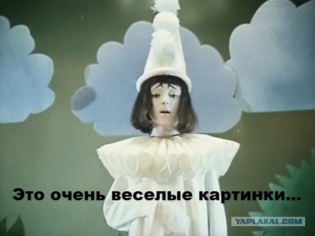 Веселые картинки