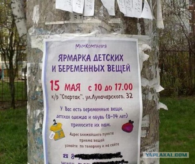 Картинки