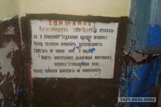 Выходные на свежем воздухе