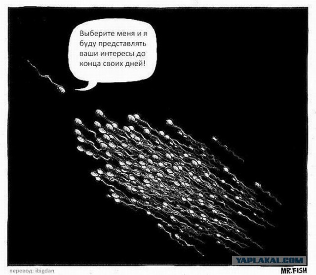 Картинки из сети