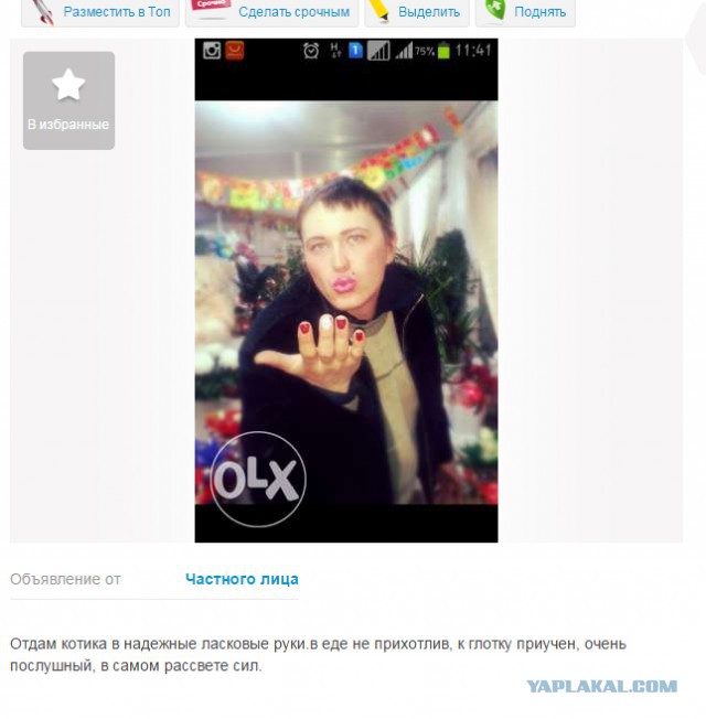 Немного картинок и демотиваторов