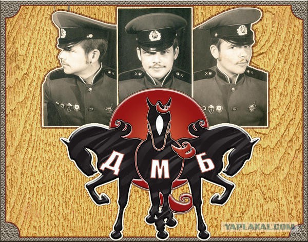 6 дней до Приказа