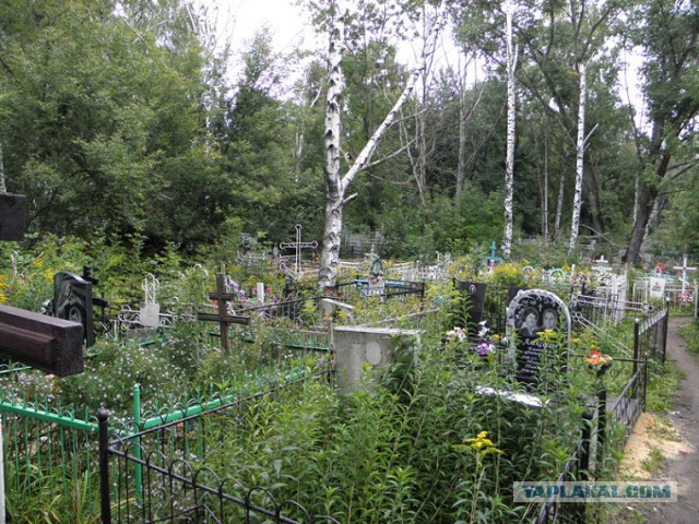 Божена Рынска заявила, что детские площадки надо заливать зарином