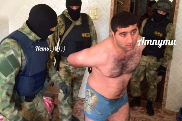 Немного картинок