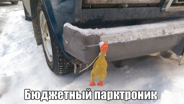 Картинки из ваших интернетов