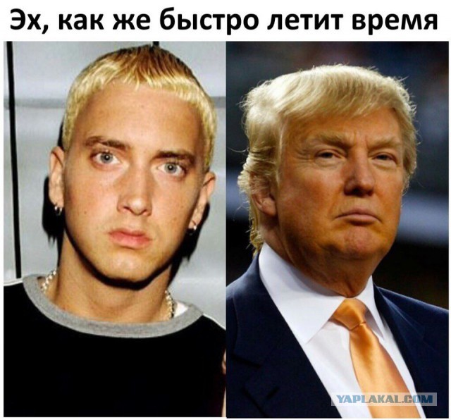 Смешные комментарии 12.02.2017