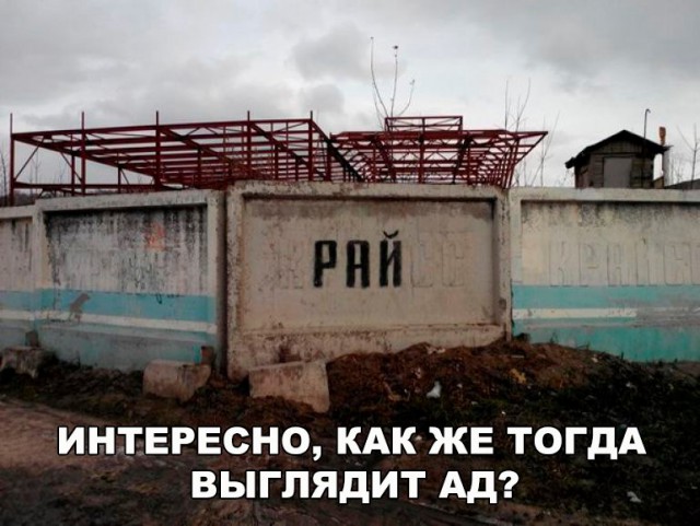 Подборка безудержного веселья