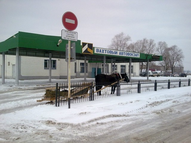 Смешные картинки