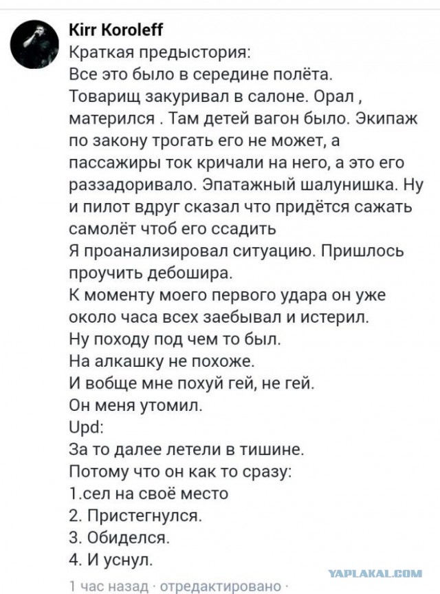 Чувак, вломивший гомосеку Виталику в самолете, рассказал, как все было