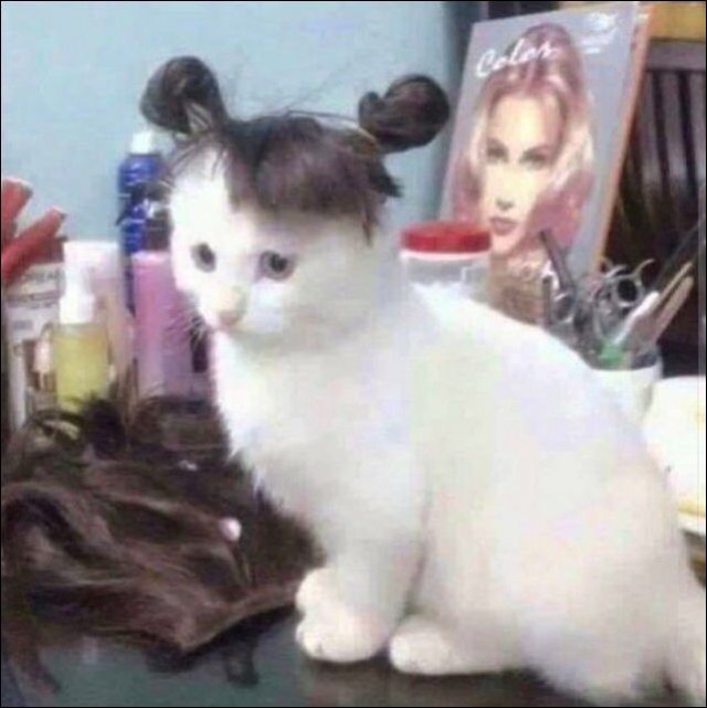 Всякая всячина
