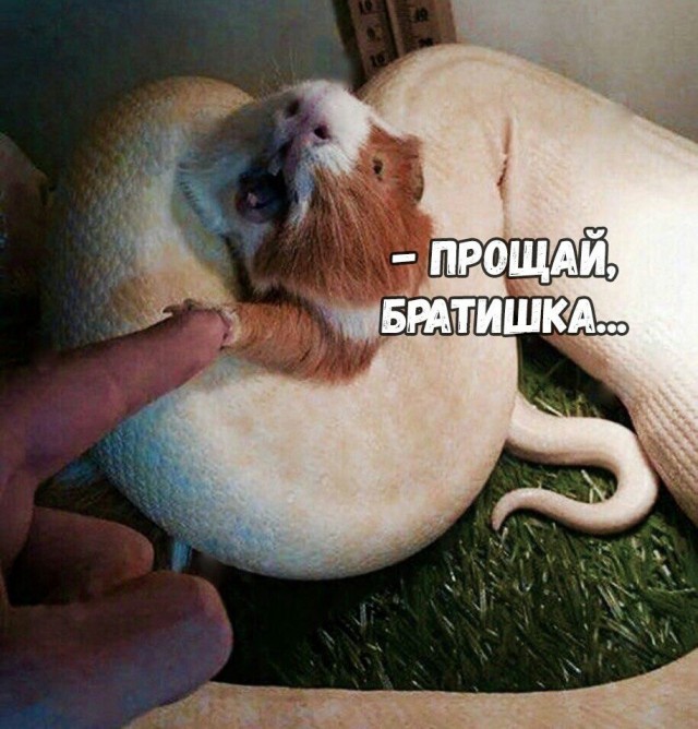 Праздник длиною в жизнь