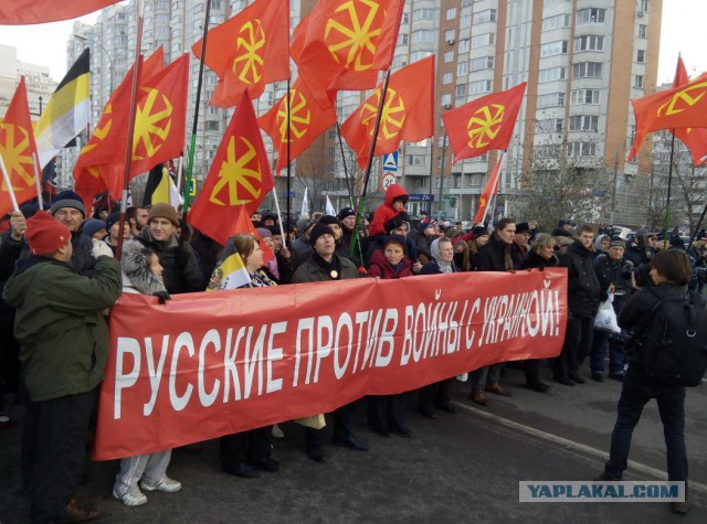 Вам срут в голову
