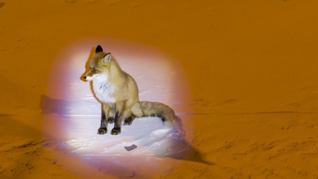 Просто Природа