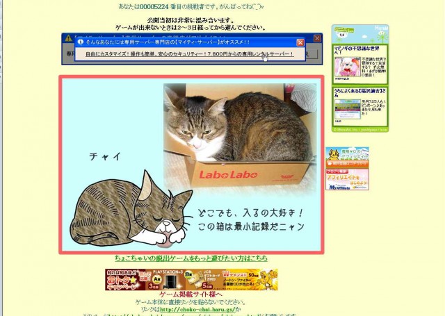 3 Cats' Oisisou Home