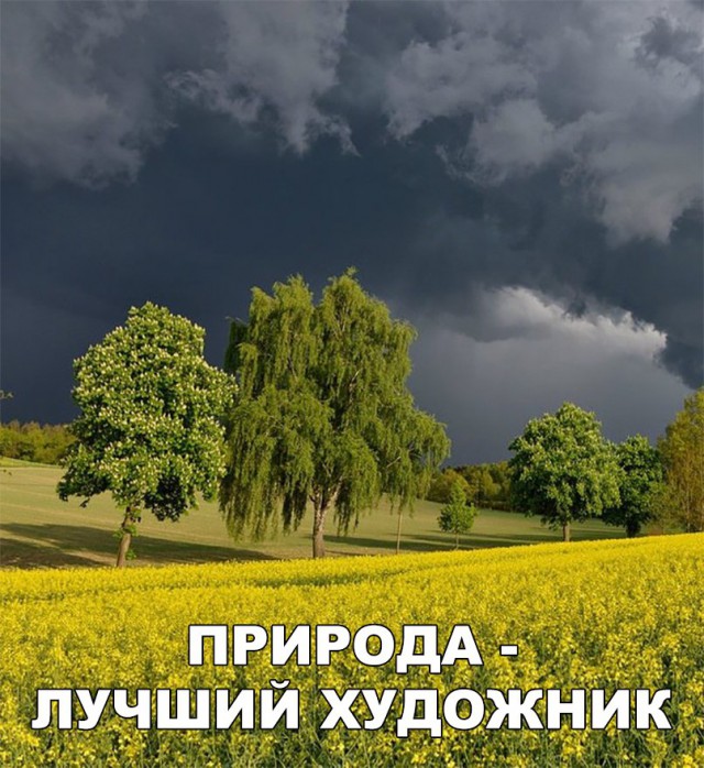 Нестандартный юмор
