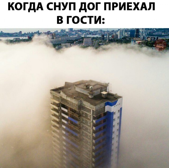 Нестандартный юмор