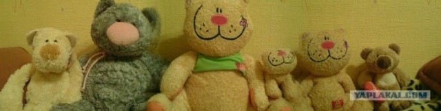Котовторник на ЯПлакалъ 08.07.2008