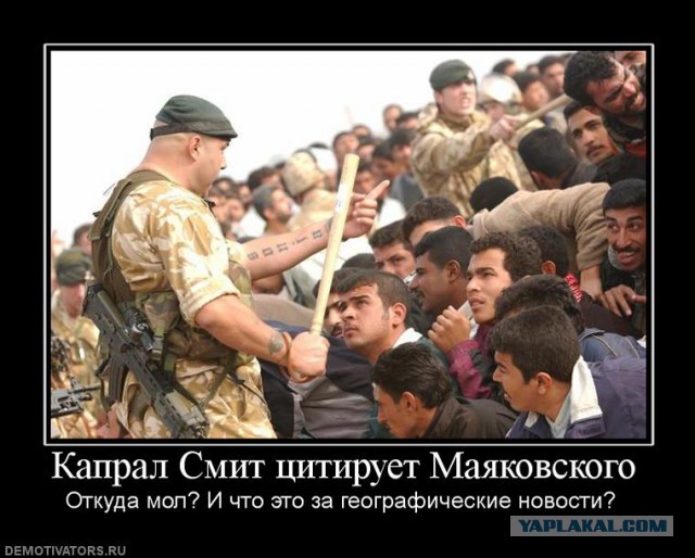 Голландский политик покончила с собой после изнасилования мигрантами