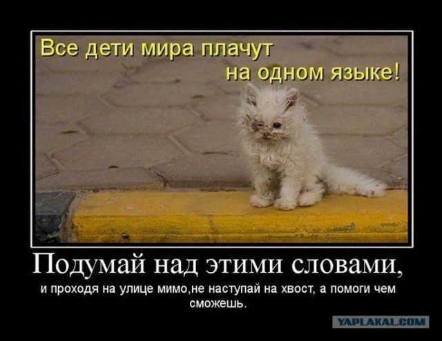 Сироты.