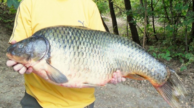 Ещё раз про Коктал.