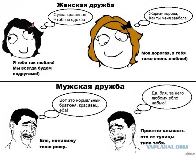 В ресторан выведешь – заказывают столько, словно год не ели