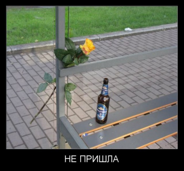 Подборка прикольных и просто красивых картинок 08.03.2019