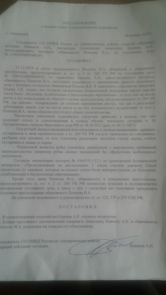 На Кубани сирота расчистил двор школы от поваленных деревьев. Теперь его судят за хищение госсобственности