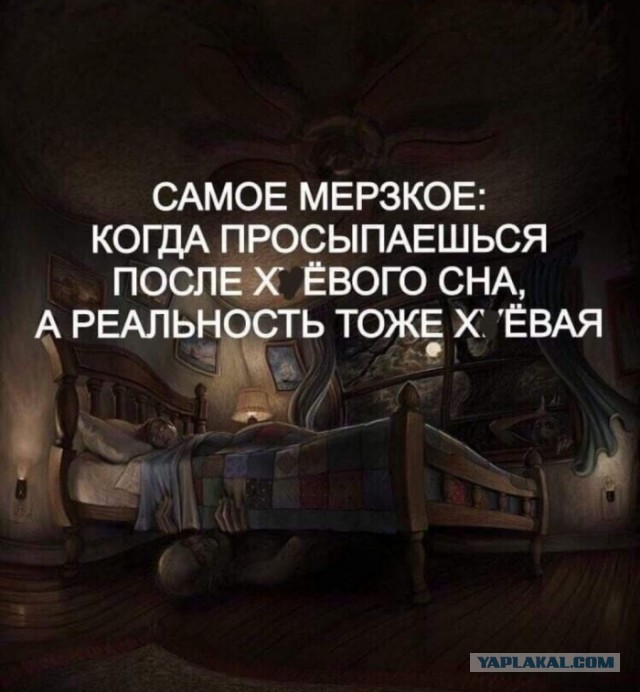 Бредзона 25.02.2020