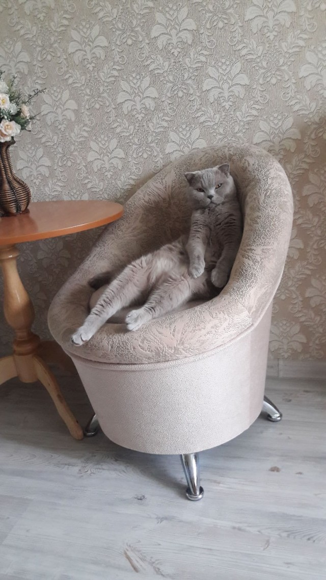 Зверушки