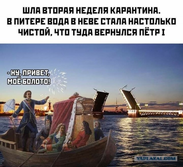 Свинегрет: картинки, надписи и прочее на 26.05 или №25