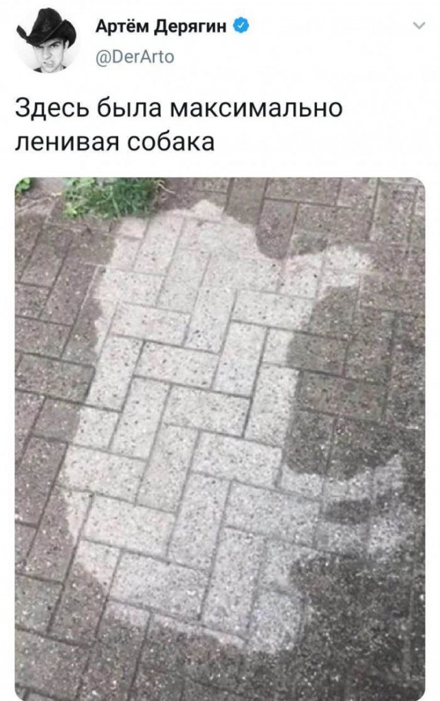 Немного картинок для настроения 115