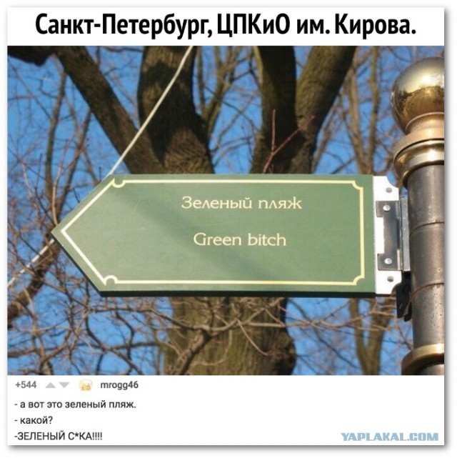 Юмор из соцсетей 13.07.2020