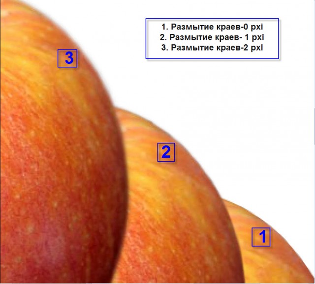Школа Фотожабы