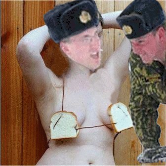 Битва фотожаберов (команда №3), Армия будущего