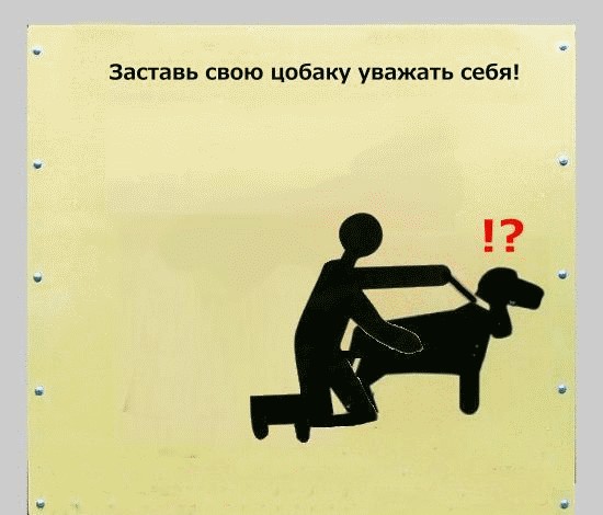 Фотожаба: Собака друг человека