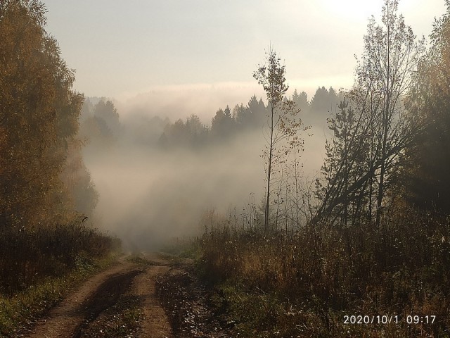 Грибы. Закрытие сезона