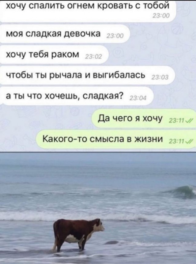 Бредзона 17.10.20