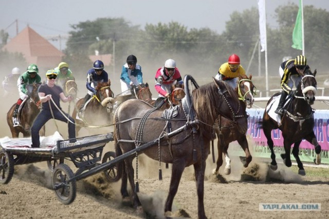 Фотожаба: если б я имел коня...