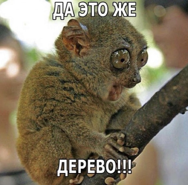 Что  радует мужчину по жизни? После 40