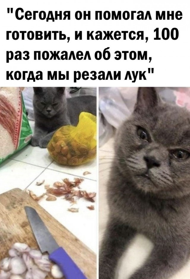 Весёлый полтишок 2.03