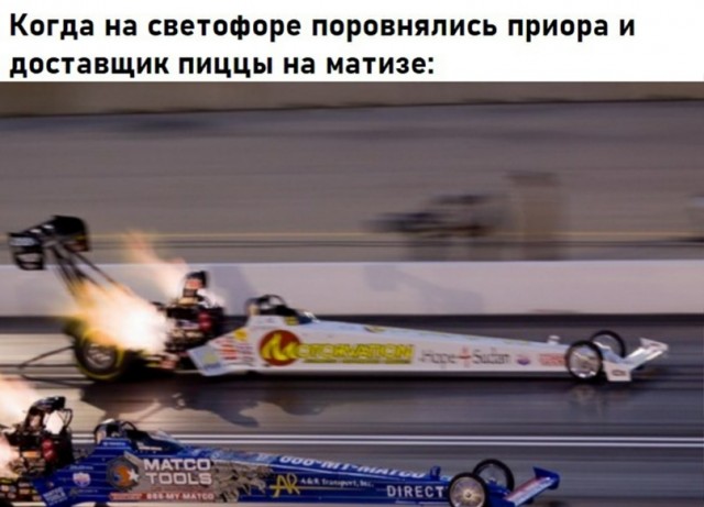 Весёлый полтишок 10.03