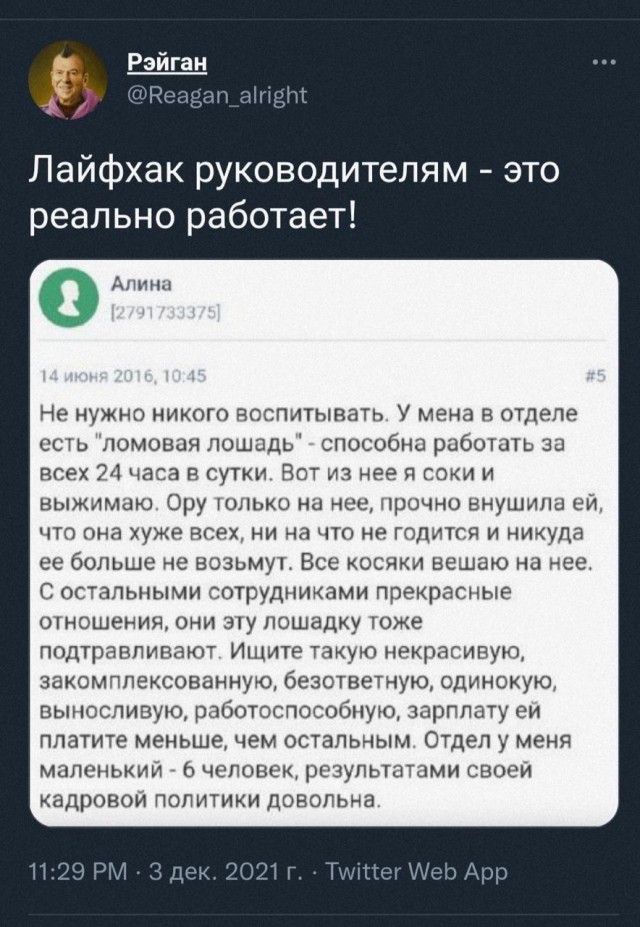 Всяческие картинки 08.12.2021