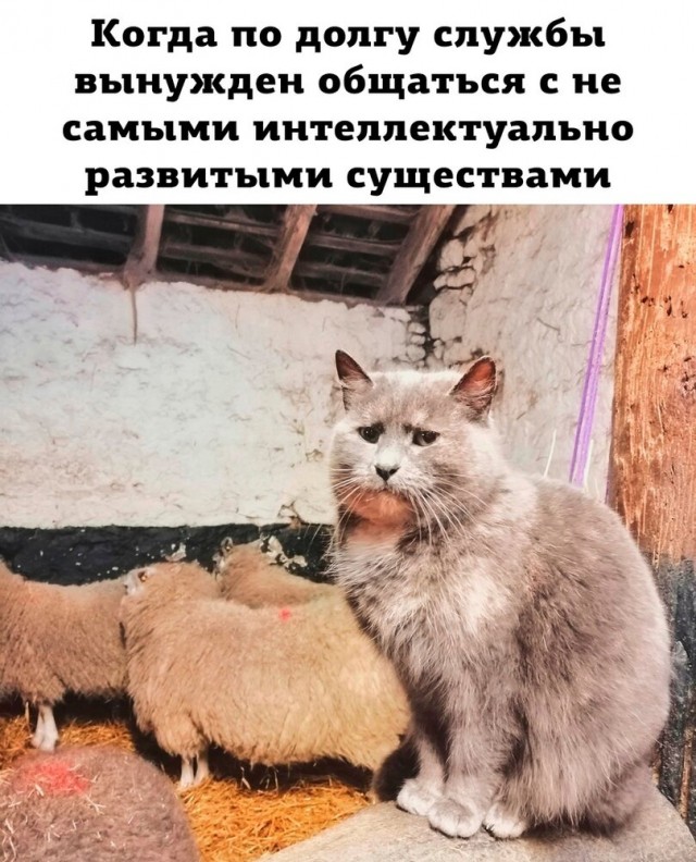 Так себе картинки 17.04.22