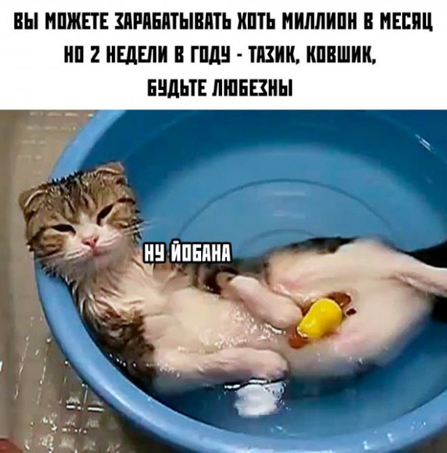 Картинки и мемы для настроения - 29