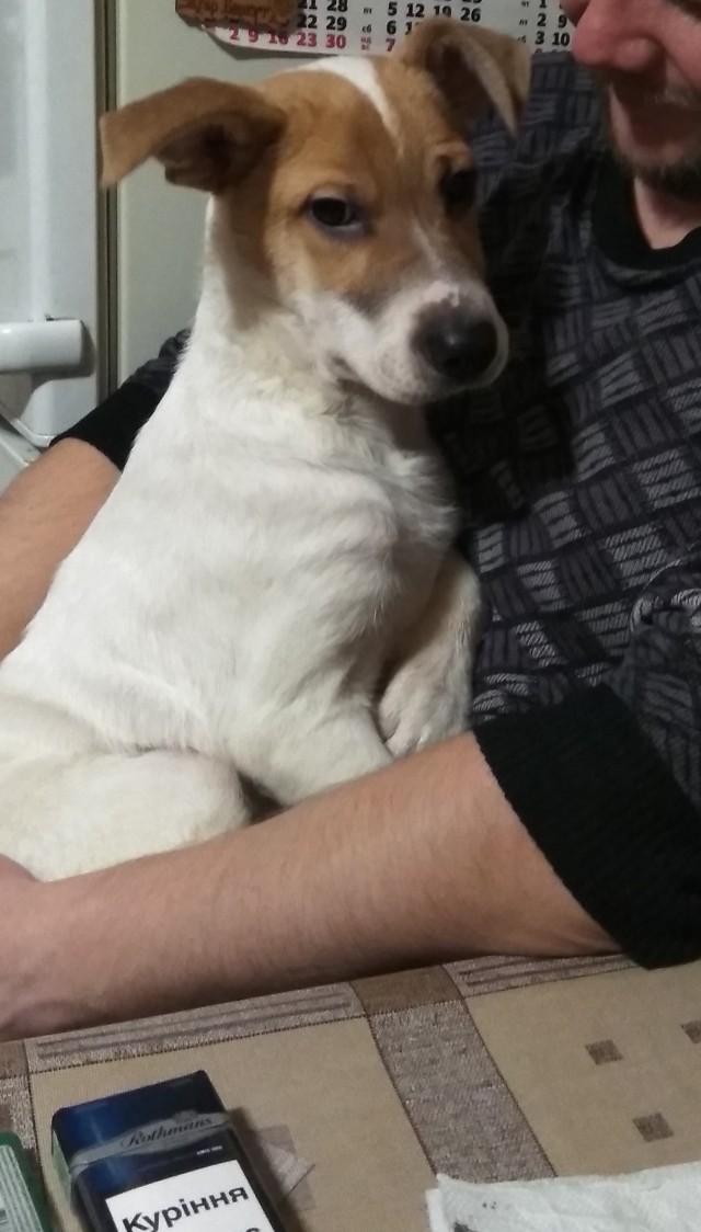 Это любовь
