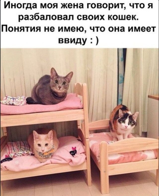 Баянисто-небаянистый юмор 18.07.22