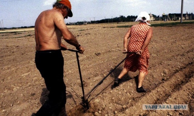 Августовские беларуски