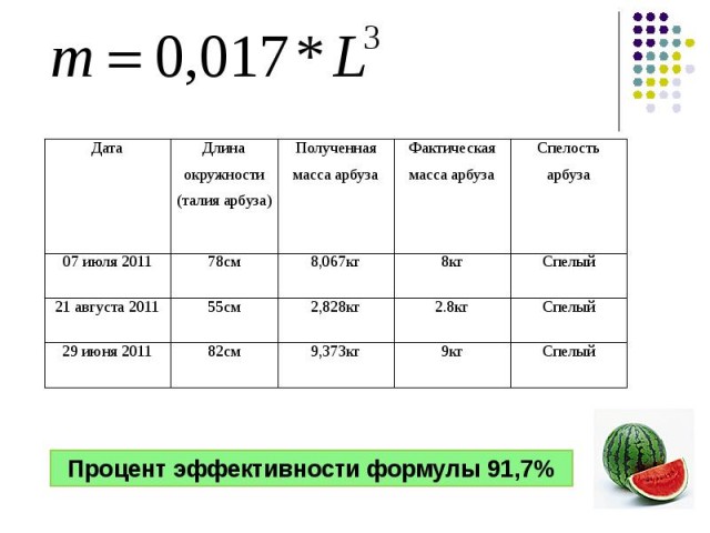 Спелая арбузиха-малютка