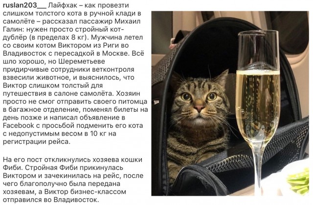Так себе картинки 20.09.22
