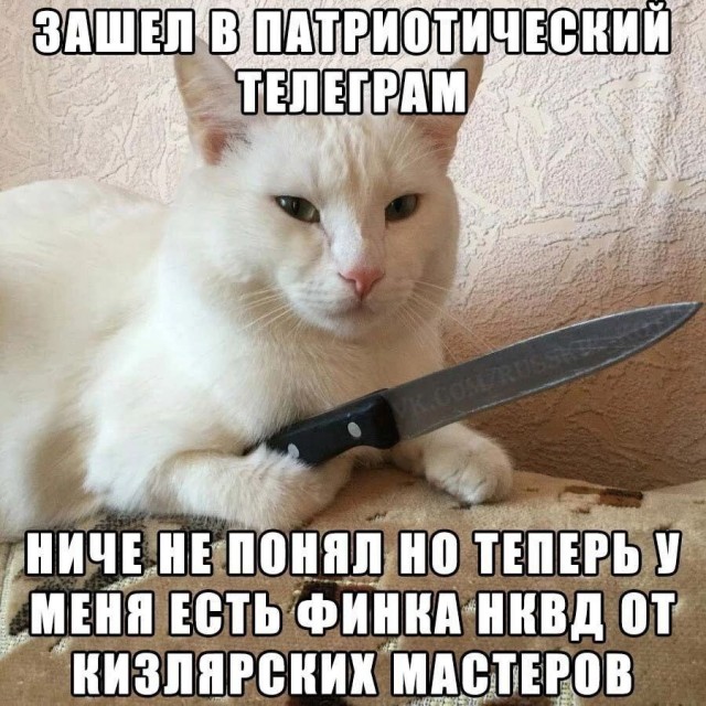 Победная поступь идиотизма по планете.